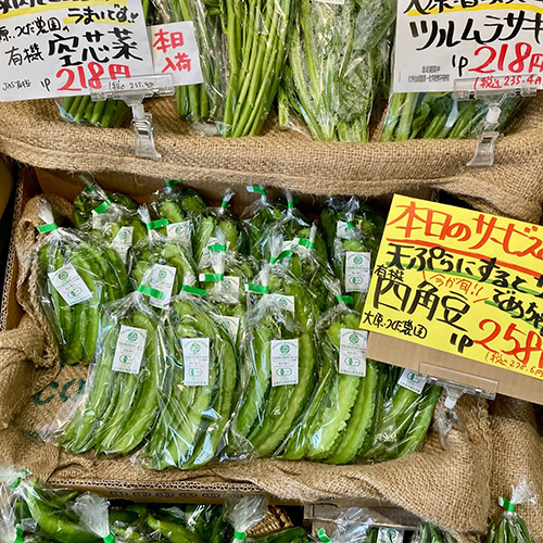 私の大好き四角豆が今最盛期！！おすすめはチャンプルー！！シャクシャクの食感がクセになるヨ。