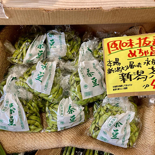 茶豆の聖地・新潟より、風味抜群の永井農園の枝豆が入荷♪今週からはあま茶豆（庄内7号）という品種に切り替わっています。
