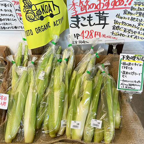 まこもだけの入荷が始まりました！！今年は猛暑の影響で遅くなりました