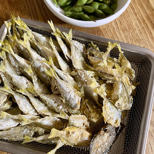 海釣りデビューした店主ワタルと息子たち。小浜で小さな魚を釣ってきたので晩御飯に片栗粉つけて揚げました！美味しいです