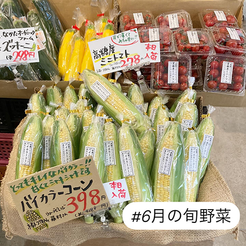 とうもろこし、入荷始まりました！甘〜くてみずみずしい、夏の味覚が今年もやってきました