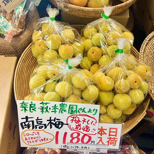 今年よりお取り引き始まった奈良の萩本農園さんの梅干し用南高梅が本日入荷しました〜