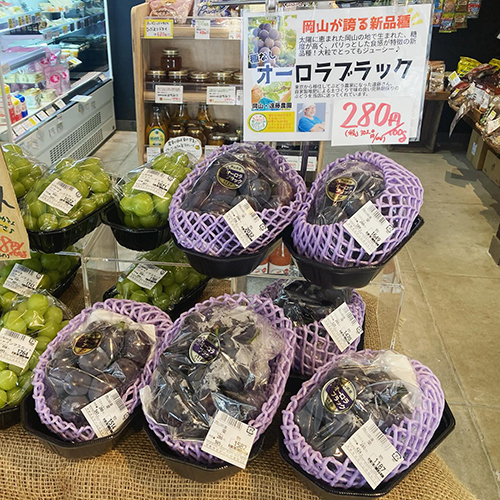 昨年から一押ししている岡山・遠藤農園のオーロラブラックの入荷が始まりました〜