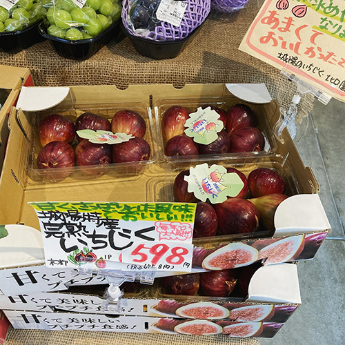 京都・城陽から届いた旬の味覚　城陽いちじく