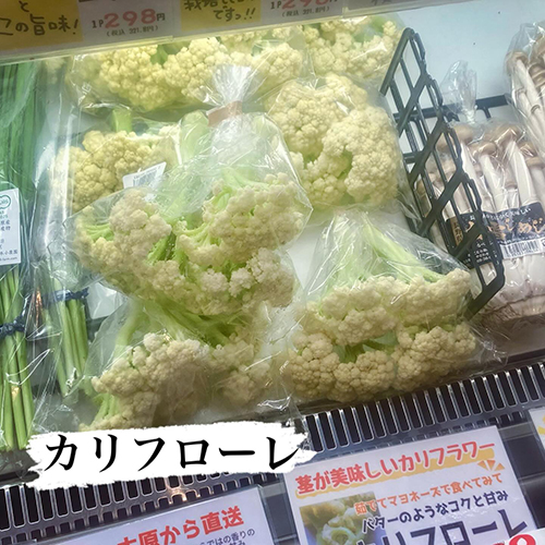 これ、美味しい！！茎まで食べれるカリフラワー『カリフローレ』長野・のらくら農場さんより届いています♪茹でてマヨネーズが一番オススメ