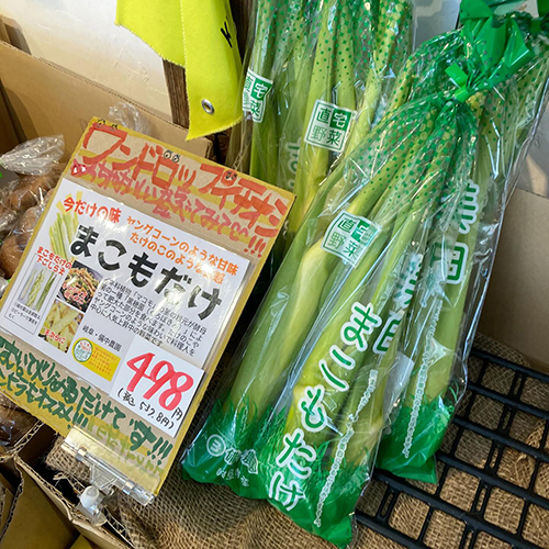 皆様のお待ちかねの【まこもだけ】の入荷が始まりました たけのこのような食感、ヤングコーンのような甘味のする今だけの味