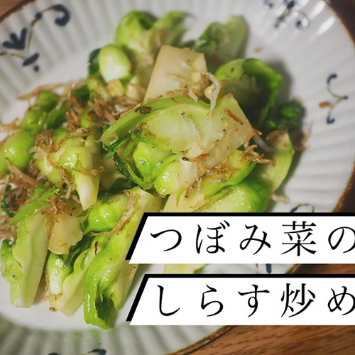 今が旬のつぼみ菜！高菜の一種で、花が咲く前のつぼみの部分を食べる野菜です。甘くてほろ苦くてめちゃ美味しいので、毎年この季節になると普及活動頑張っております