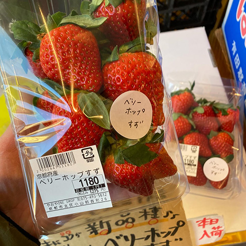 今日から上賀茂・三宅さんの苺が始まりました〜♪毎年人気のべにほっぺに加え、今年は『ベリーポップすず』も仲間入り！酸味が少なく甘いですよ〜そしてサクサクとした食感も独特。今年からの新定番です。