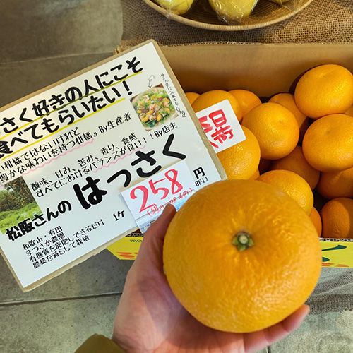 おはようございます!今日も寒くなるみたいですね さて、今週も色々入荷して来ています。