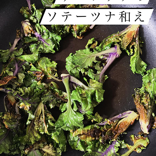 ケーレッツという野菜をご存知ですか?イギリス生まれの芽キャベツとケールを掛け合わせた非結球芽キャベツです。同じ仲間でプチヴェールという野菜もありますが、種苗会社が違ってプチヴェールは日本生まれなんですよ。