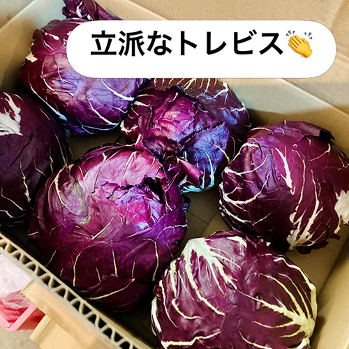 やおやワンドロップの遼子です！あっという間に週末になりました。時間の経過が早過ぎて恐ろしい。さて、明日は土曜日、ポイントアップデー　ご来店お待ち致しております　今日もおすすめ紹介していきます