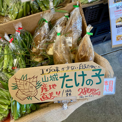 桜が散り始めましたね　みなさん、お花見は満喫出来ましたか？4月になり筍の入荷が続々とはじまりました〜こちらは火曜に届いた山城たけのこです♪