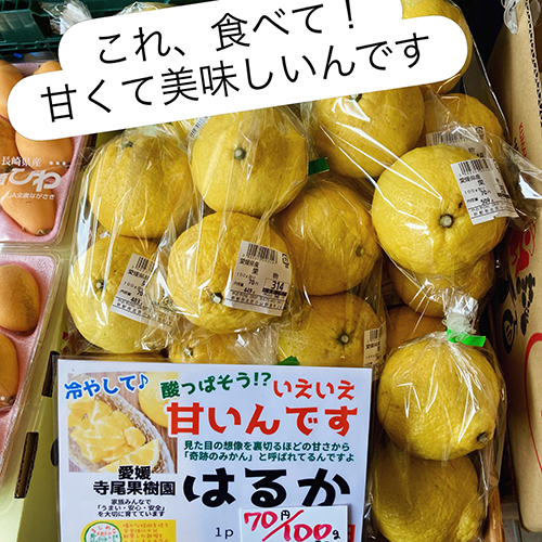 北大路店の店長、りょうこです。今日、遠足だった小4、小6の息子たち。雨で中止になるんじゃないかとソワソワしていましたが、なんとか天気がもち無事に行けたみたいです。良かったよかった