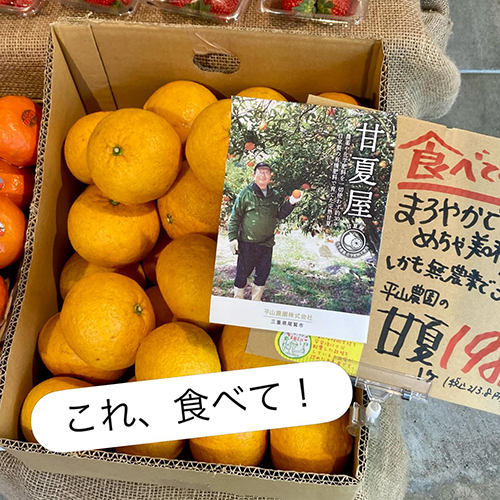 愛媛・尾鷲、平山農園さんの甘夏です 30年近く農薬、化学肥料を使わず栽培し続けられてきた甘夏が入荷しました!
