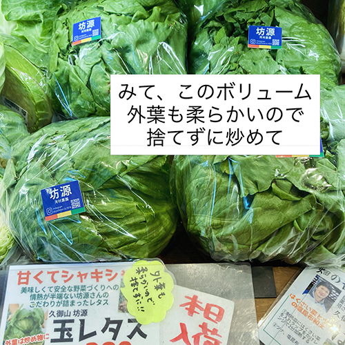2026年5月21日(木)
やおやワンドロップ北大路店の店長遼子です。今日は予報通りの雨ですね　そして、何より蒸し暑かったです〜今日はサッパリしたもん食べたい。今週から入荷している久御山・坊源さんの玉レタス、ボリュームたっぷりでめちゃオススメ！外葉は炒め物にすると美味しいんですよ。次回は土曜入荷です〜♪