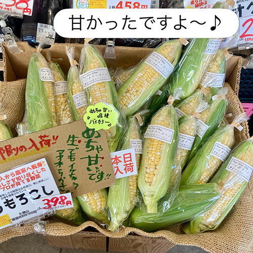 2026年5月19日（火）本日の入荷情報です♪やおやワンドロップ北大路店の店長遼子です。昨日も今日も暑すぎ〜っ！！こないだ、↑写真にのせた甘塩ゴーヤでゴーヤチャンプルーしましたが、この暑さにゴーヤが美味かったです　ゴーヤは塩でかるく揉んでから下茹でして、炒めると全然苦くなくて美味しいですよ