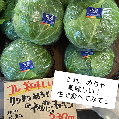 2026年6月12日(金)　やおやワンドロップ北大路店の店長遼子です。今日はいい天気すぎて暑い〜東京はゲリラ豪雨だとか　今日のイチオシは、久御山・坊源さんの『初恋』キャベツ。甘くてサクサクしてて雑味がないので、生でパクパク食べちゃえます！品種名はズバリ『初恋』確かにこれは恋しちゃう美味しさですな。