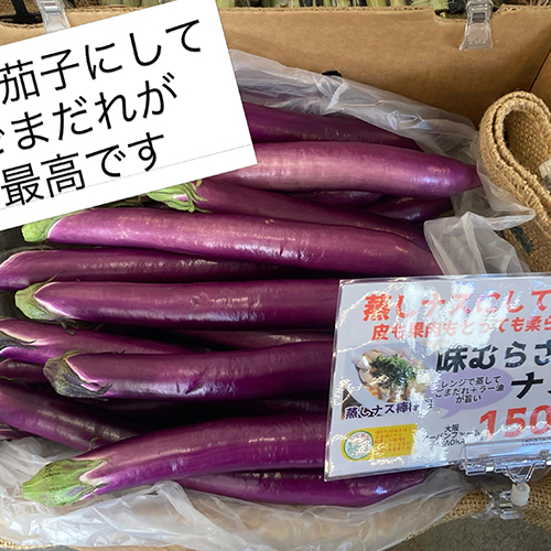 2026年6月11日(木)　やおやワンドロップ北大路店の店長遼子です。今日もいいお天気ですね〜いよいよ、ワールドカップが始まりますね！！子供たちも楽しみで仕方ない模様　今日は奈良・萩本農園さんから南高梅の青梅が入荷しました！こちら梅酒、梅シロップ用となります。うちは、子供たちが梅シロップを楽しみにしてるんで今年も2キロ仕込みました。