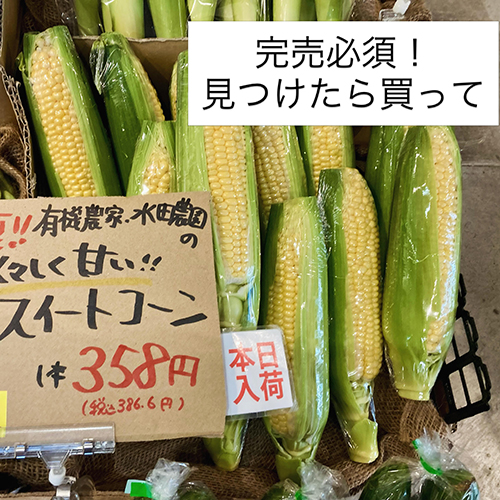 2026年6月10日　やおやワンドロップ北大路店の店長遼子です。梅雨入りしましたが、今日は爽やかな風が気持ちいいです〜写真のとおり、美味しい夏の食材がどんどん始まってますよ。やっぱり一番人気はとうもろこし　丹波市の有機農家・水田農園さんから届きました‼️