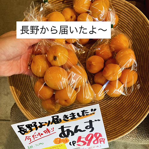 2026年6月24日(水)
やおやワンドロップ北大路店の店長遼子です。昨日は京都のワインインポーターであるディオニーさん主催の、石巻に新しく生まれたワイナリー【moritmius】さんの試飲会に行ってきました