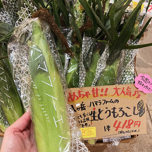 2026年7月30日(木)
やおやワンドロップ北大路店の店長遼子です。毎日暑過ぎますねー!そんな暑さの中、今年も八ヶ岳ハマラノーエンの生とうもろこしが始まりました