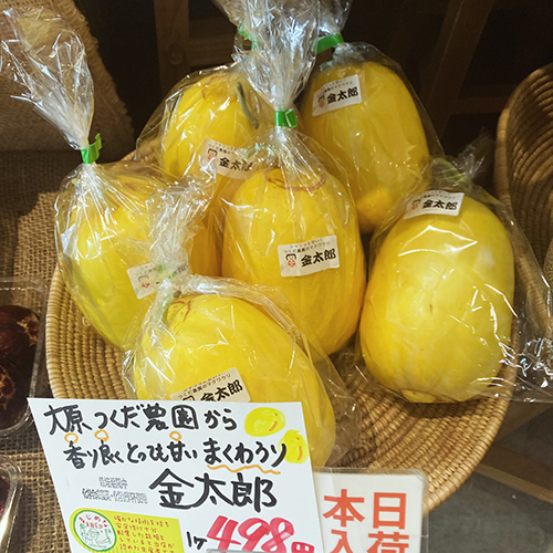 2026年8月14日(金)　やおやワンドロップ北大路店の店長遼子です。お盆ですね！明日15日(土)、北大路店は夏季休業を頂きます。本日、休み前のポイント5倍SALEやってます！ぜひぜひお越し下さいませ。今日は大原つくだ農園からまくわうりが入荷しました！とお盆のお供えにいかがですか？