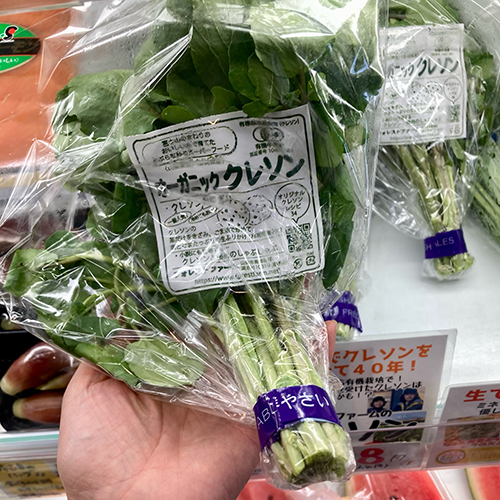 2026年8月18日(火) やおやワンドロップ北大路店の店長遼子です。小4、小5の息子たちのリクエストでお盆休みは家族で芝政ワールド(プール)に行ってきました。スライダーがめちゃ充実していて楽しかったです 福井の海の幸も堪能できました