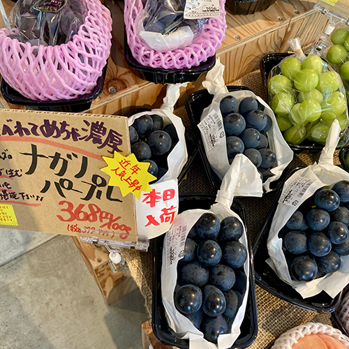 2026年9月2日(水) やおやワンドロップ北大路店の店長遼子です。ぶどうが旬になりました 甘味がしっかり増して、香りも抜群です。毎年人気急上昇中の皮ごど食べられるナガノパープルもはまじまりました。皮は柔らかく、果実はめちゃ濃厚なんです!濃い味わいがお好きな方にぜひオススメします。