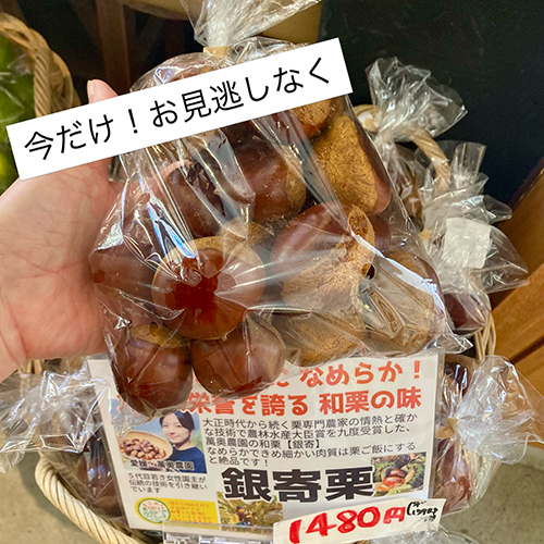 2026年10月9日(金) 気持ちの良い秋晴れが続きますね。日中は暑いぐらいです 銀寄栗が始まりました。江戸時代から楽しまれてきた、なめらかできめ細かい肉質の和栗品種です。愛媛・萬奥農園から直送で届きました!!明日の入荷で最終です。