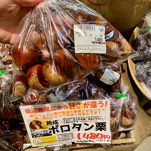 2026年10月7日(水) すっかり秋らしいお天気になりましたね やおやワンドロップ北大路店の店長遼子です。今が旬!の熟成ポロタン栗が入荷していますよ。熟成させてるからめちゃ甘ーい!栗ご飯にしたら、何コレ、甘っ!!ってなること間違いなし!ぜひお見逃しなく。